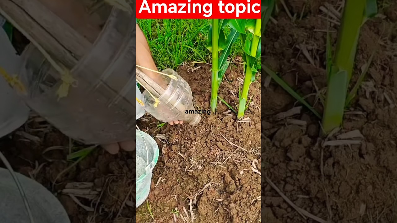 Amazing topic news 
