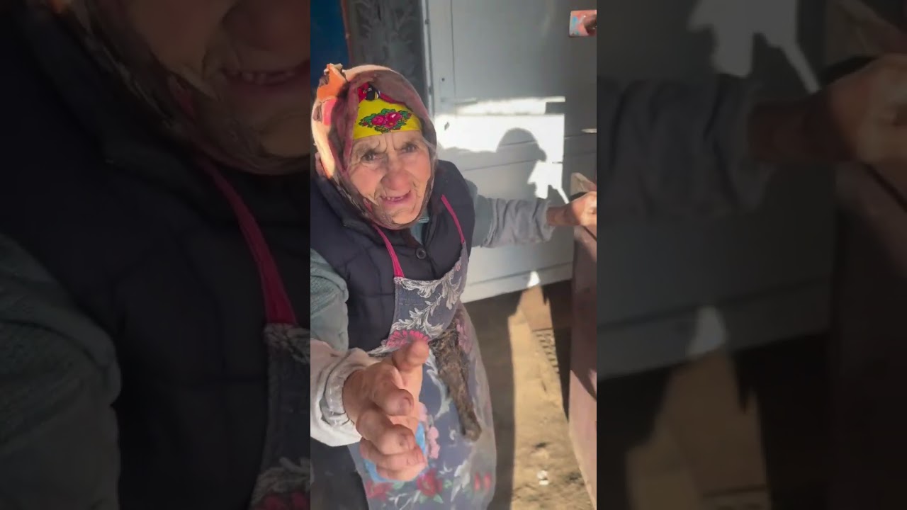 Встреча 