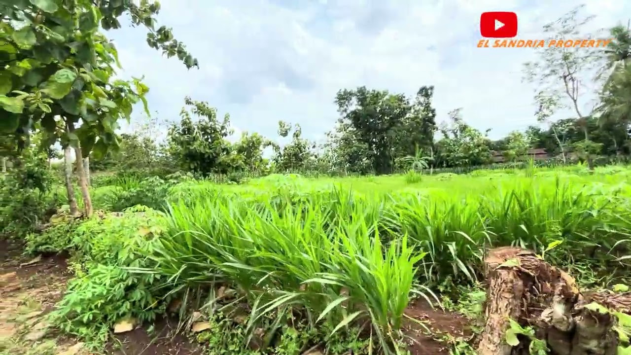 ⛔TERJUAL⛔TANAH DENGAN VIEW PEGUNUNGAN SERIBU GUNUNGKIDUL LUAS 1732M² SHM DIJUAL CEPAT