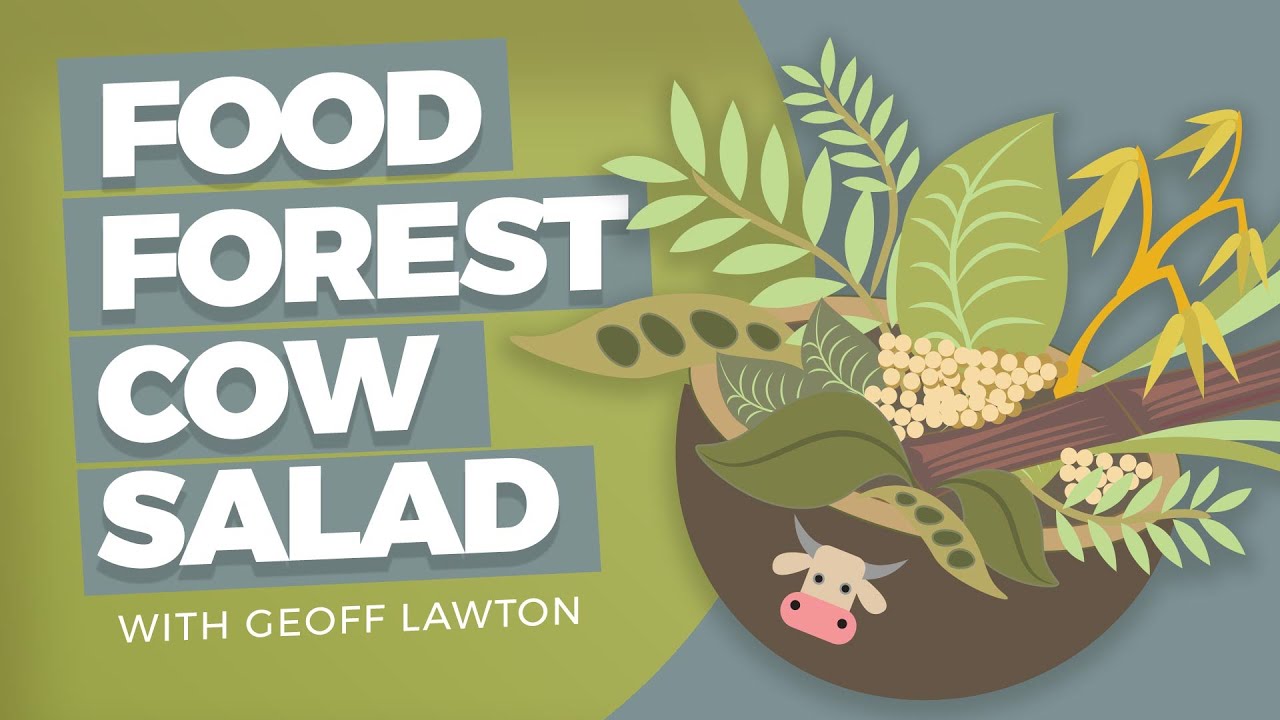 Converting a Food Forest into Milk