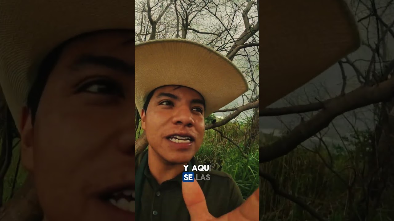 Acomp&aacute;&ntilde;anos a PAJAREAR