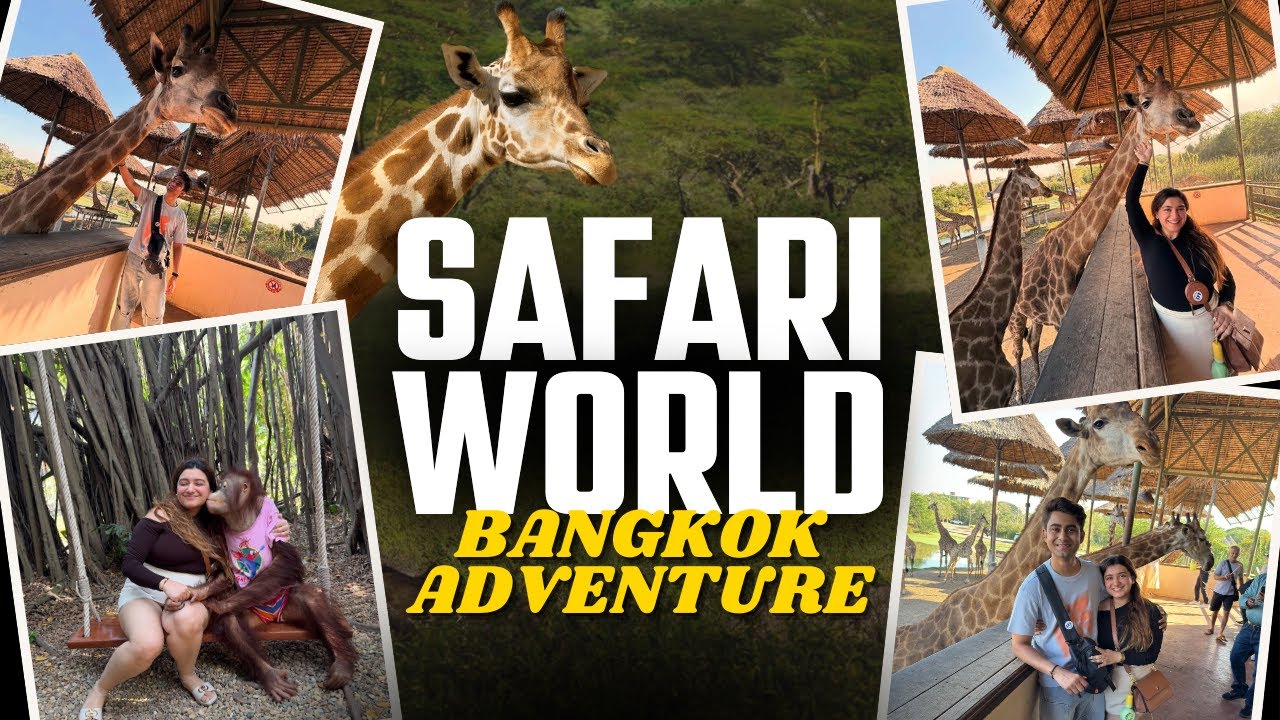Safari World Bangkok Adventure | Chimpanzee ne kia propose 💋