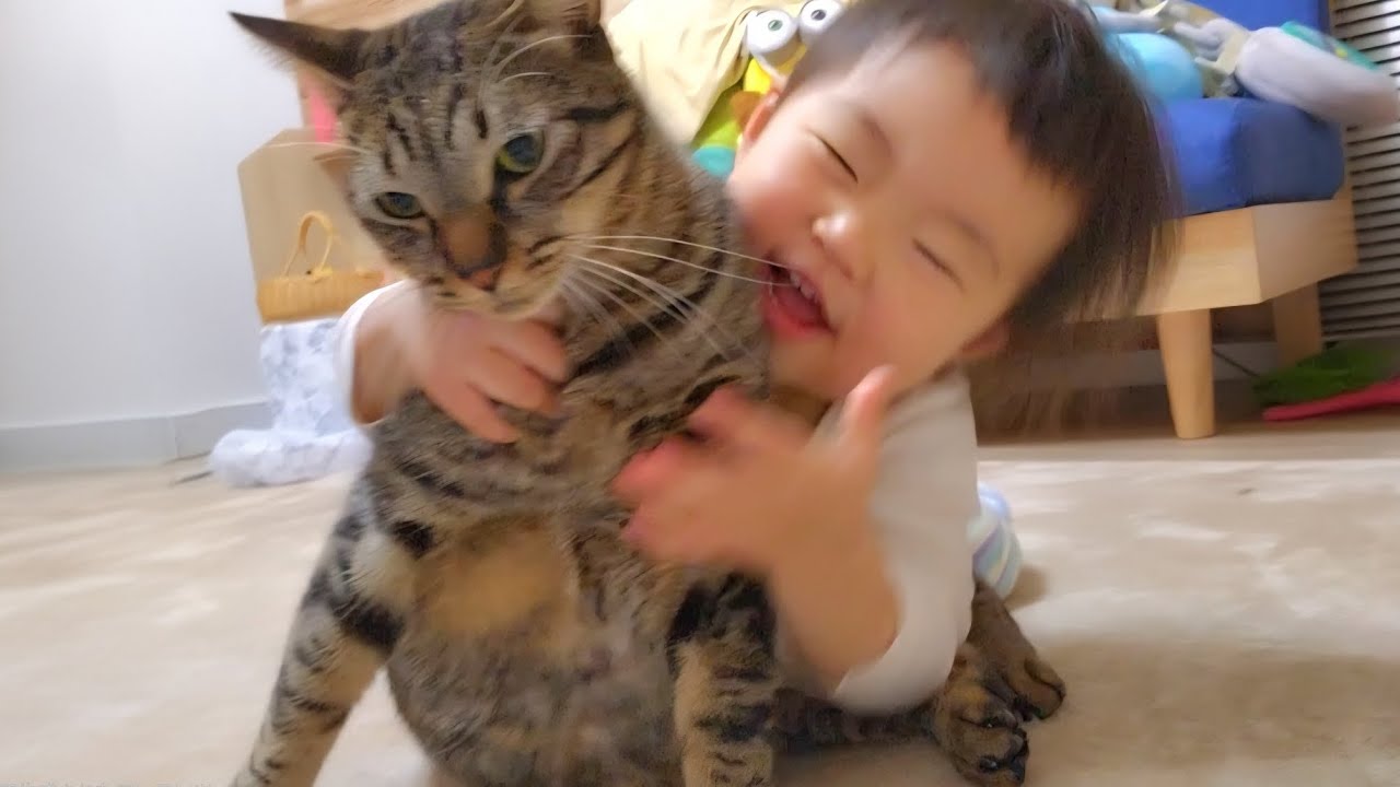 生まれた時から一緒に育った1歳児と猫の関係性が感動的過ぎました...。