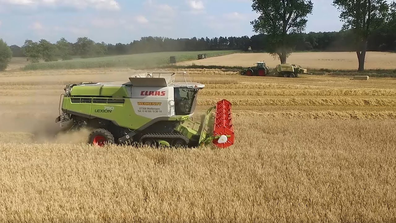 Claas Lexion 750 TT [LU Wehrendt][Roggenernte 2019][Deutsch]