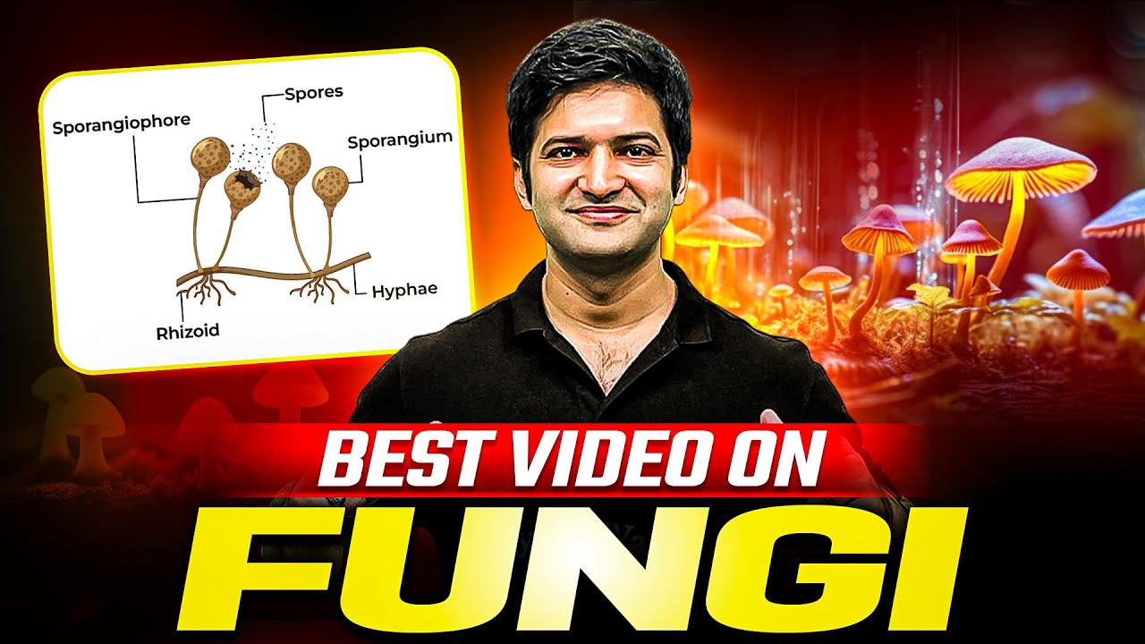 FUNGI - Quick Revision in 30 Minutes | Class 11th Botany | PhysicsWallah