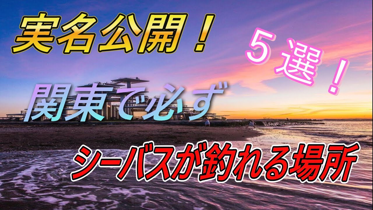 必ず釣れる！関東のシーバスが釣れる場所５選！