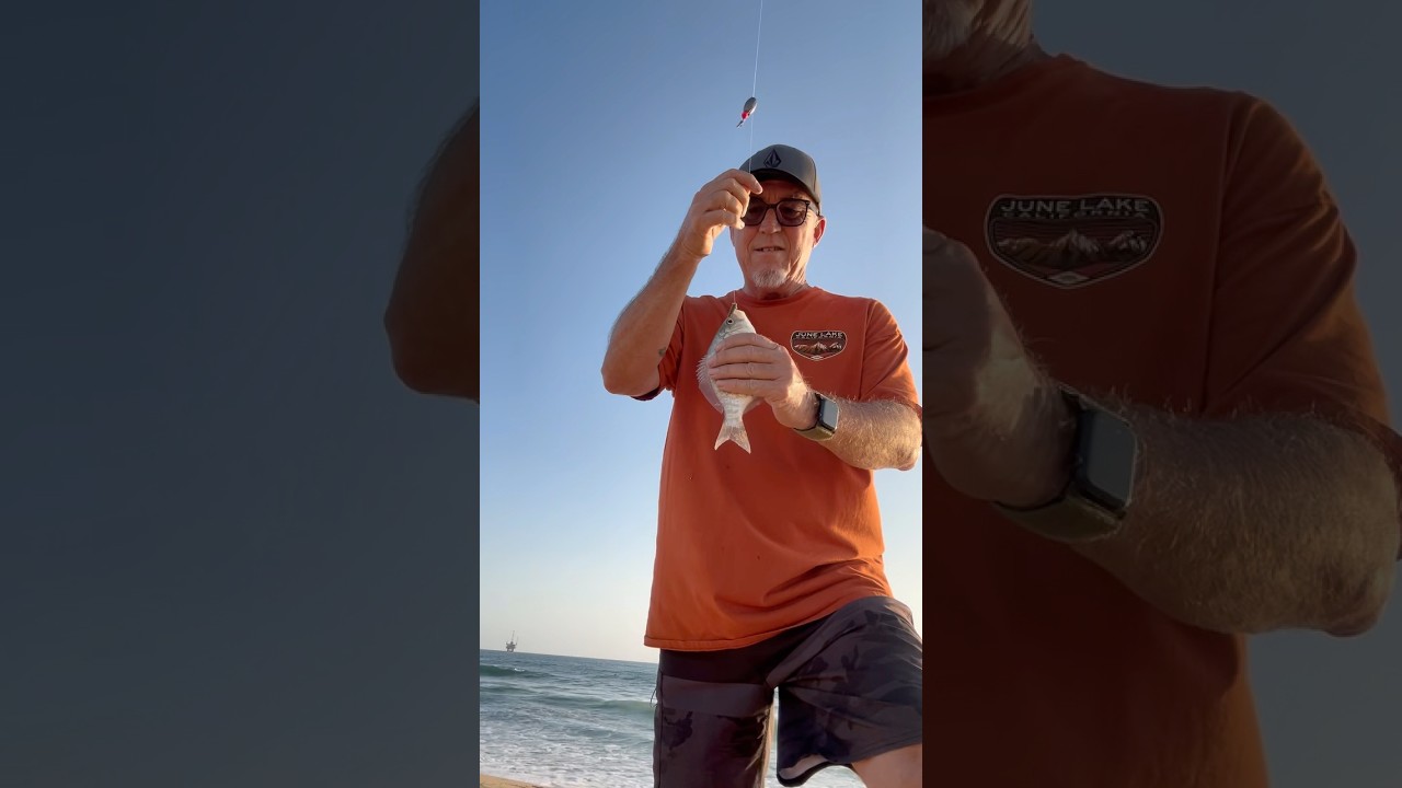 Surf fishing 🎣 catching surf perch #subscribe #fishing #surfishing #huntingtonbeach #fish