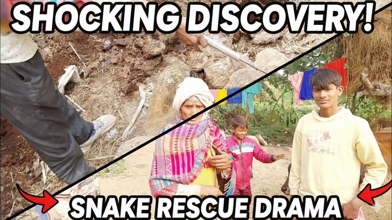 मंजर देखना न भूलें नगला हरूया मै निकले दो खतरनाच जानवर #babyanimal #funny 