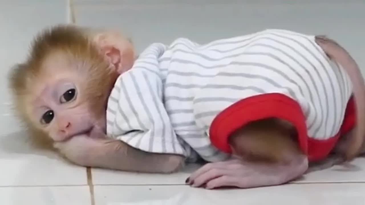 Lil Harry Sleep Waiting Mom Come Picking Him
