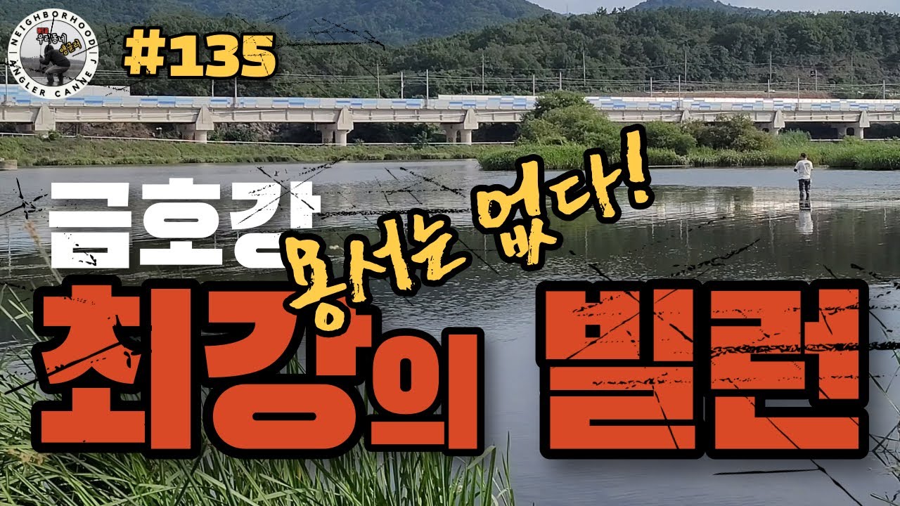 EP135 금호강 혈투! 고수온기보다 더한 배스낚시 최강의 빌런!                                            #bass #bass #배스낚시