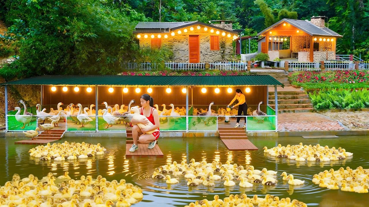 Building Strong Coops with Plastic Mesh for Geese, Ducks & Muscovy Ducks | Nhi Build Life