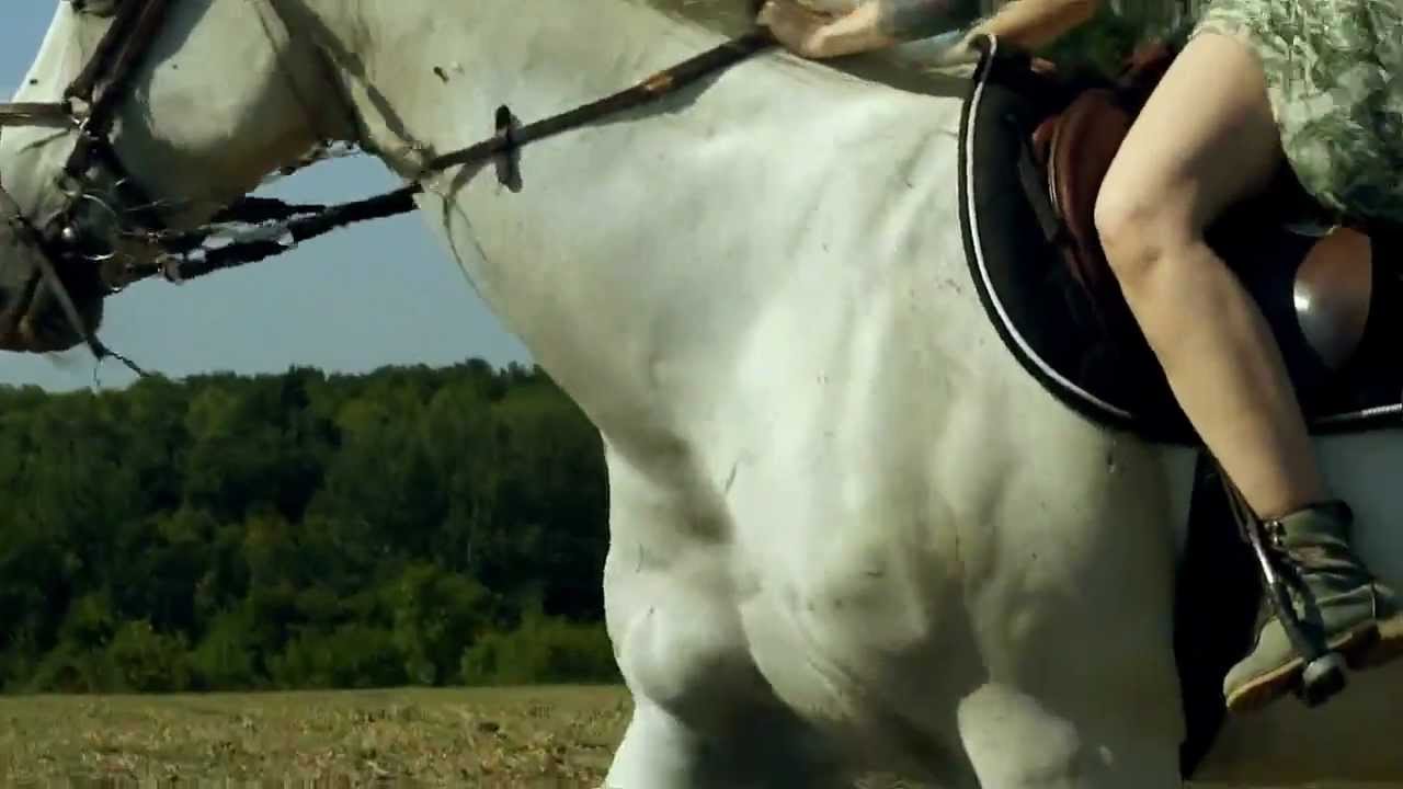 Dangerous Person? - Wild West