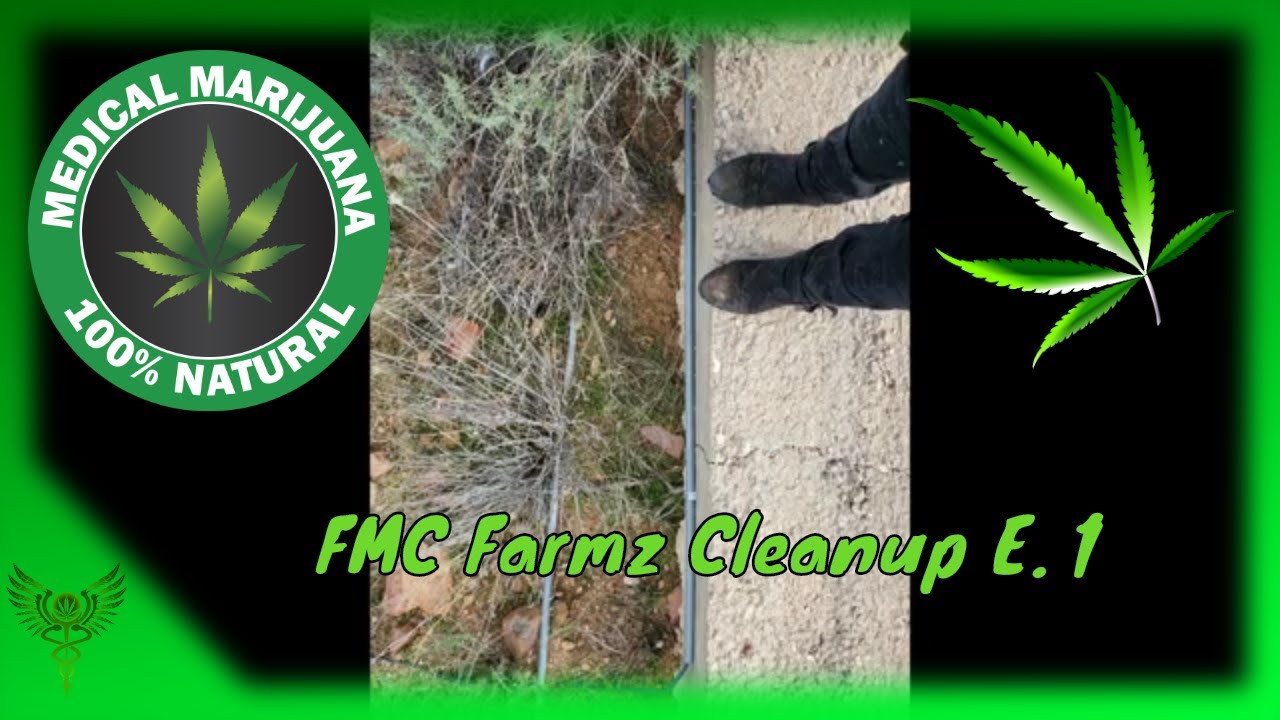 FMC Farmz cleanup #1 #Cannacommunity  #AZMMJ #AZCultivation