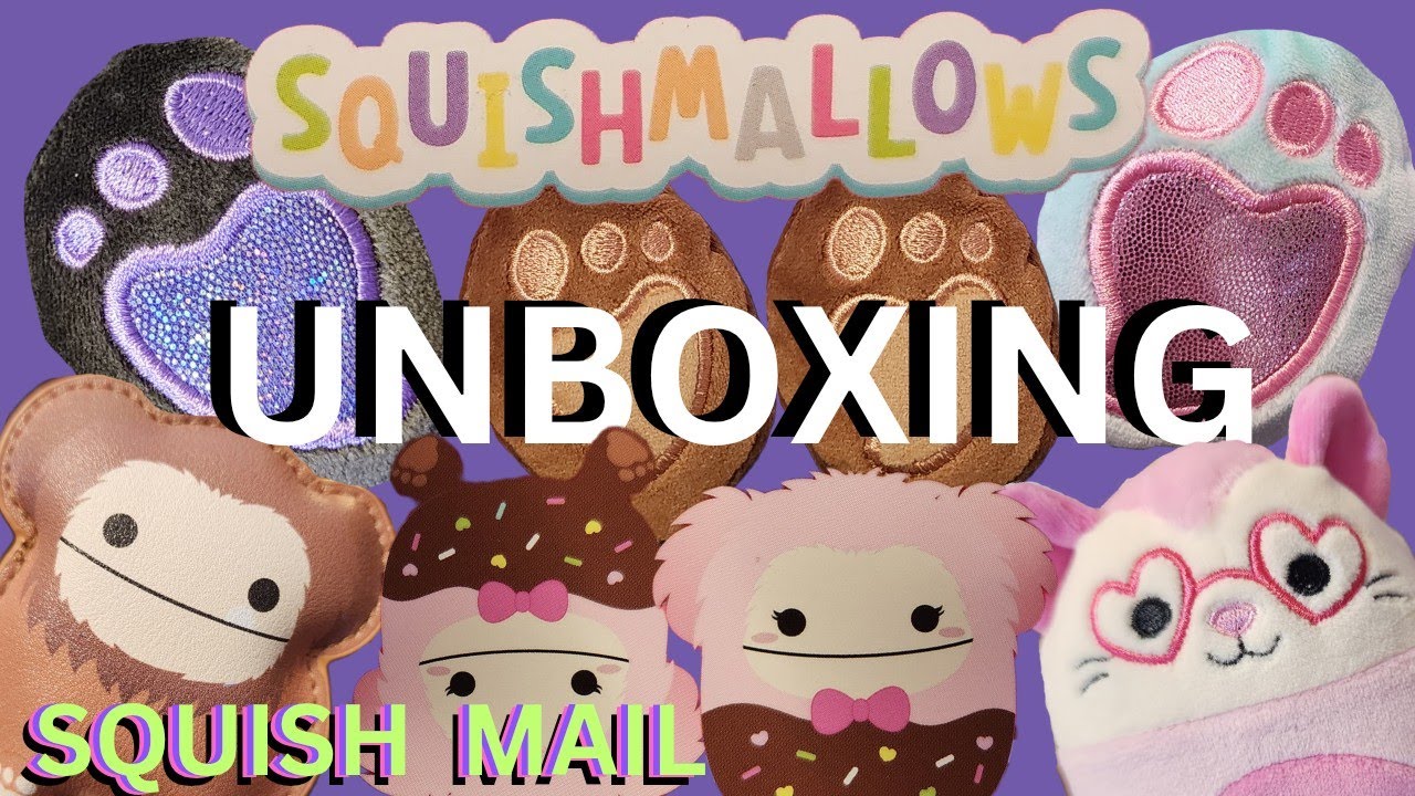 Squishmallows Haul Unboxing Squish Mail Valentines Owl and Goose Order and New Bigfoots Target