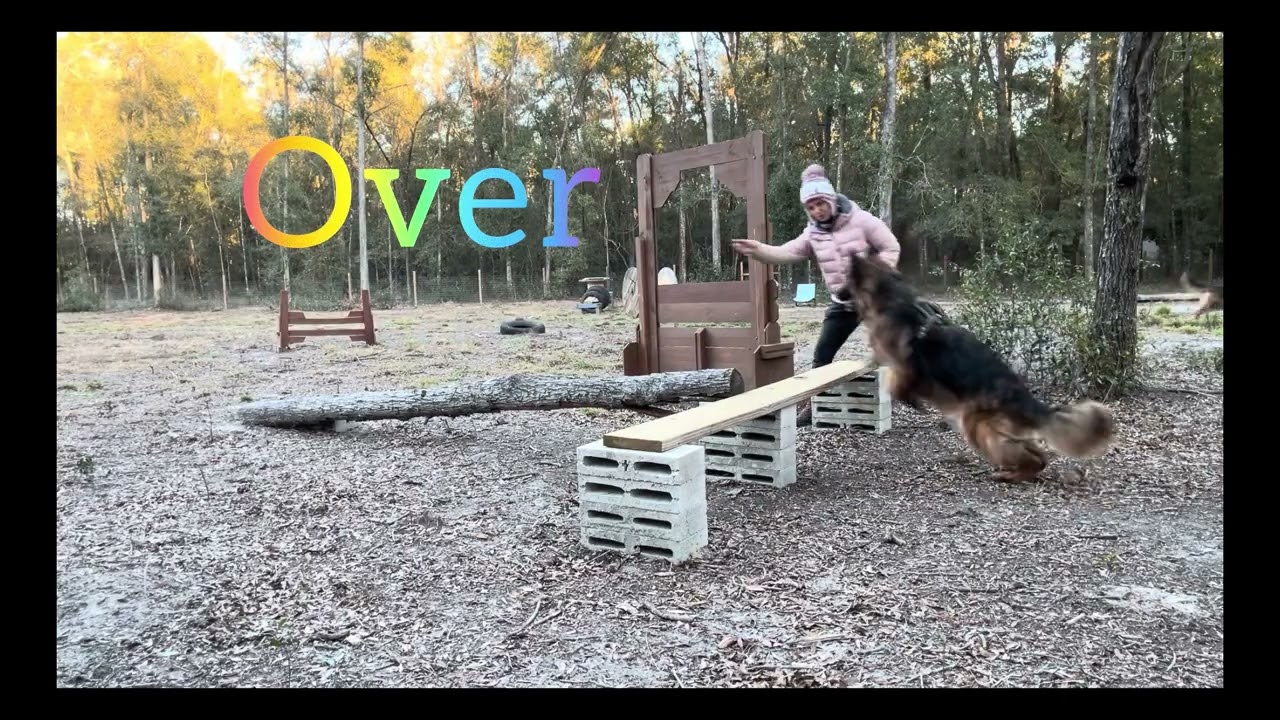 Bodhi Novice Parkour Fun