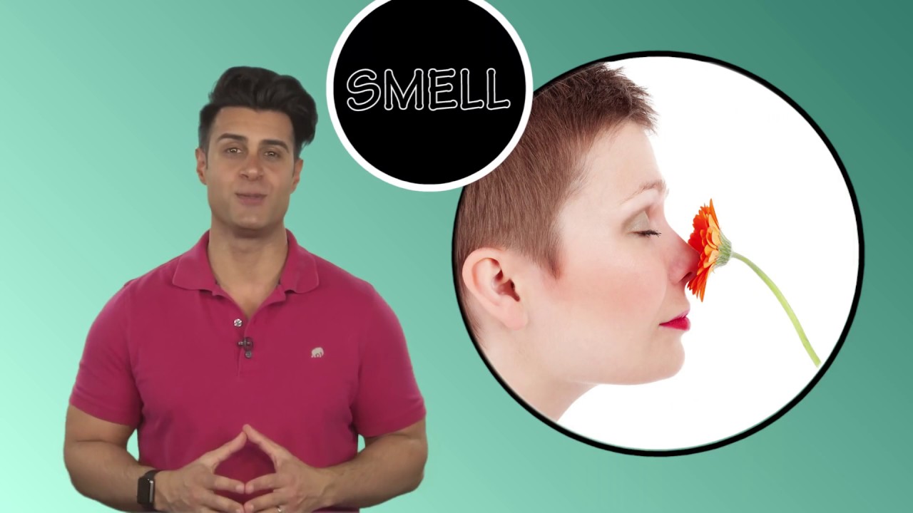 Everyday Grammar: Linking Verbs