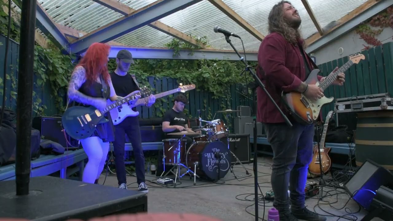The Whisky Flowers - Cortez The Killer - Letterkenny Blues Festival