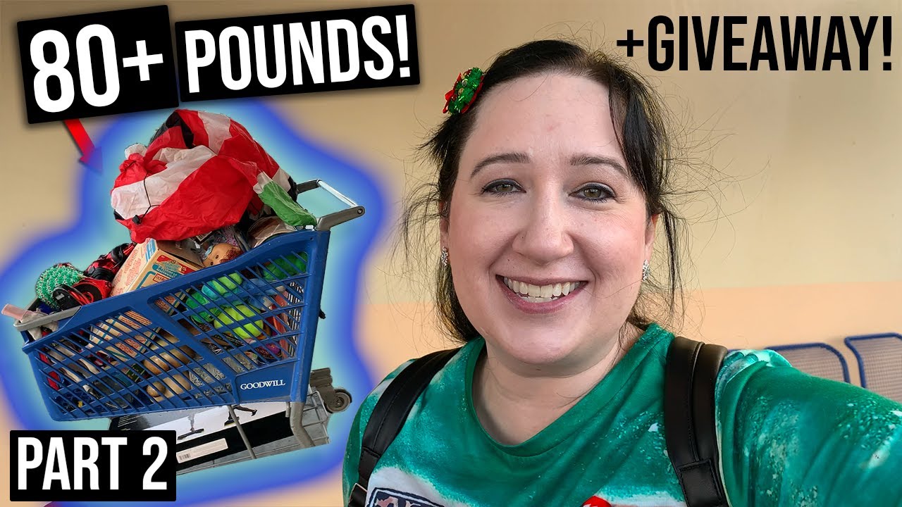 I SPENT $100 at THE GOODWILL OUTLET BINS!  MY BIGGEST HAUL EVER!  PART 2 of 2 The madness continues!