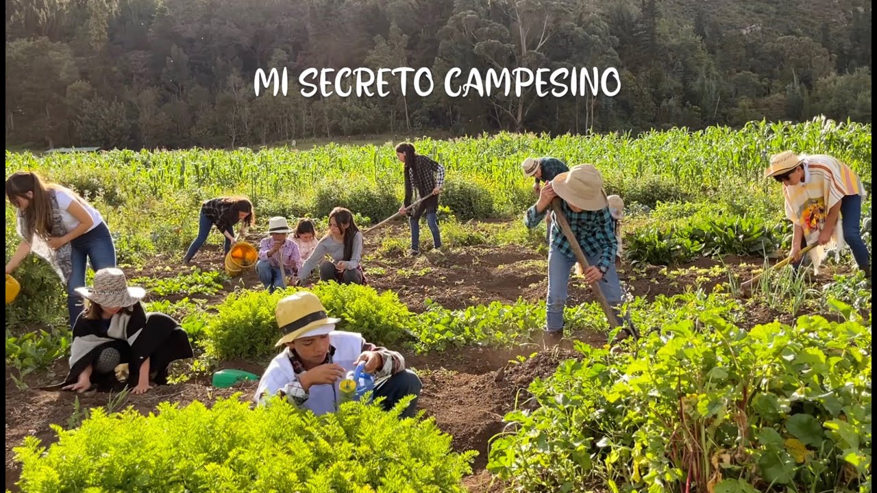 Mi Secreto Campesino - LOS CACHAQUITOS