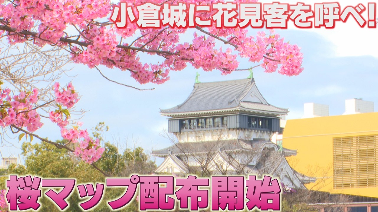 小倉城周辺で早咲きのカワヅザクラ見頃　2月下旬から4月上旬まで長く花を楽しめる　福岡のソメイヨシノの開花は3月23日予想