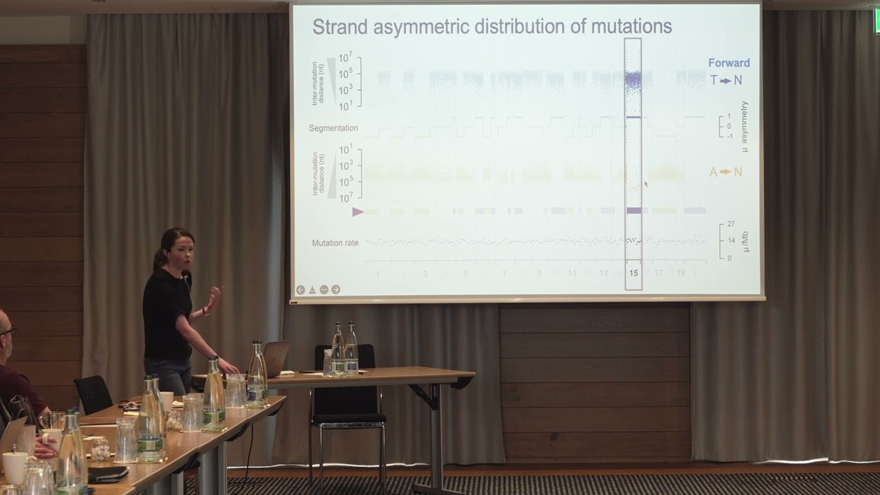 Sarah Aitken - Re-running cancer evolution in vivo to disentangle DNA damage and repair