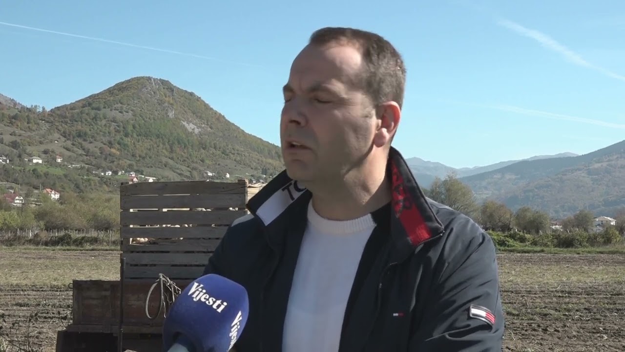 VIJESTI U POLA 7 - PROIZVODNJA KROMPIRA U GUSINJU | Vijesti online