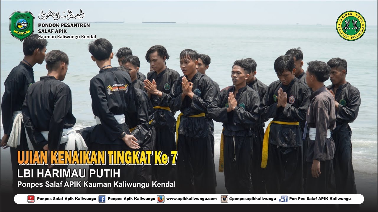 UKT Ke 7 LBI HARIMAU PUTIH || PONDOK APIK KALIWUNGU KENDAL
