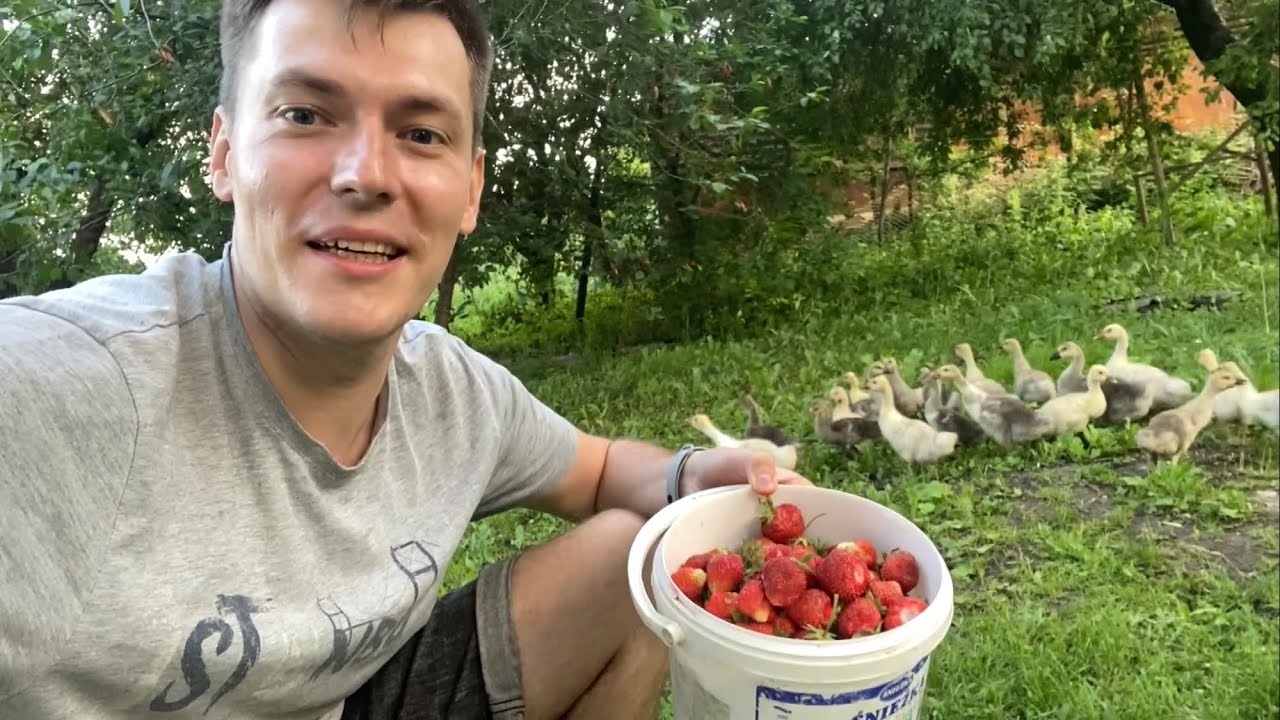 VLOG ПРИЕХАЛ К МАМЕ В ГОСТИ..