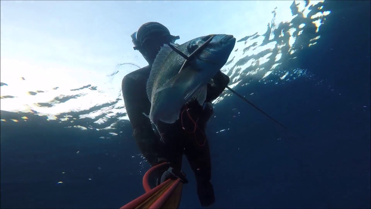 Chasse sous marine, Début de saison estivale 2018 By SEAC