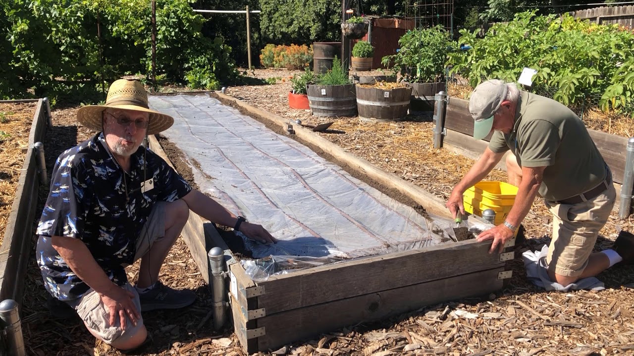 Soil Solarization: Control Soilborne Pests