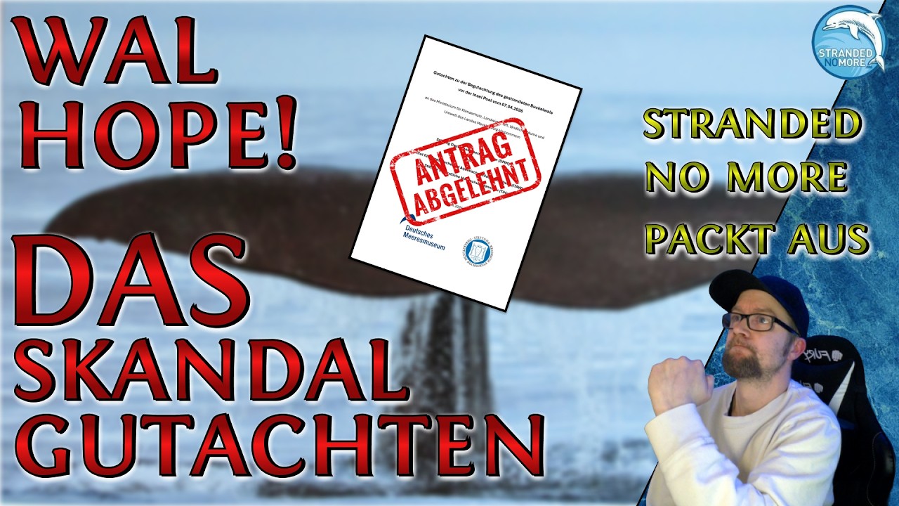 WAL HOPE SKANDAL: Die schockierende Analyse des Gutachtens von Mecklenburg-Vorpommern!