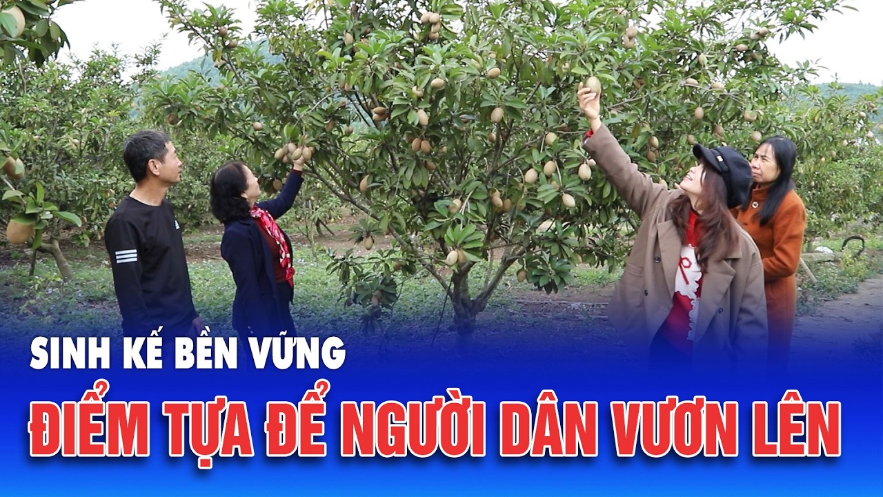 Sinh kế bền vững – điểm tựa để người dân vươn lên