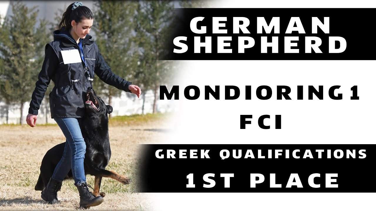 Mondioring 1 Winner - FCI Qualis of Greece 2020│Maestro Von Der Mohnwiese - Daphne Lazana