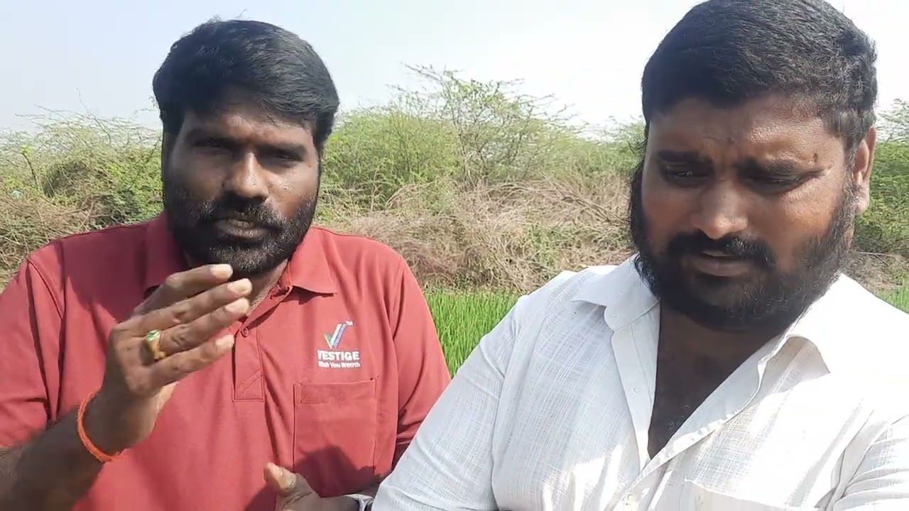 అగ్రి ఉత్పత్తులు వేస్టేజ్ వారి ఎక్సలెంట్ దిగుబడి