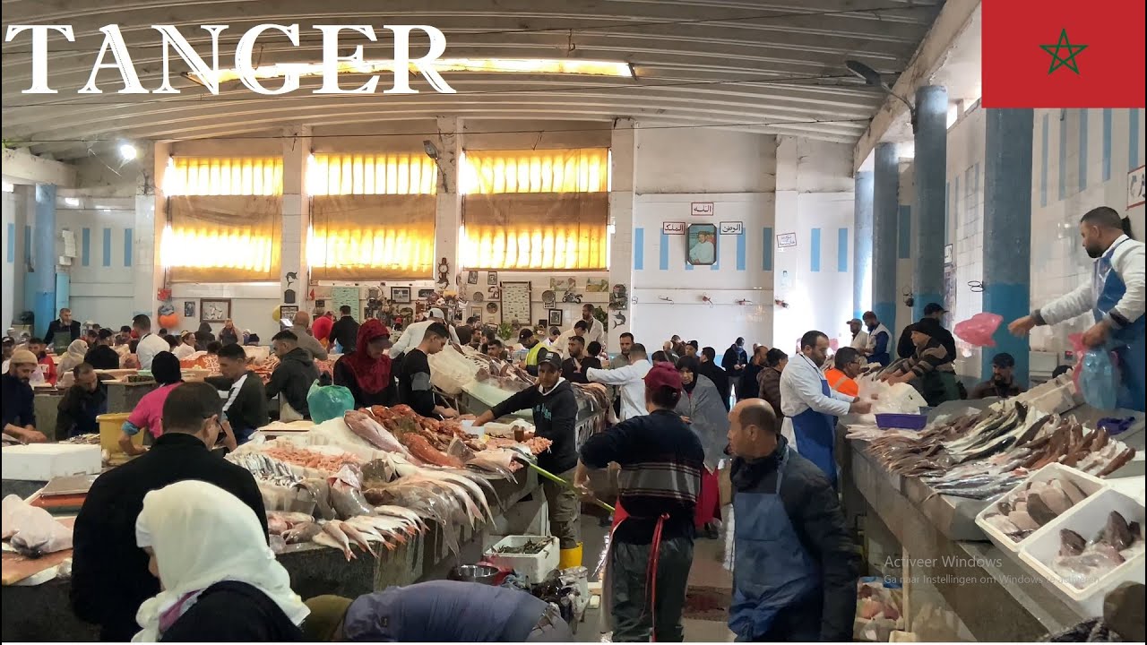 | 4K | Amazing Walking Tour Fresh Fish Vegetables & Meat | Virtual walk in Tangier Tanger | Morocco
