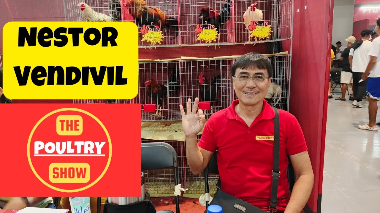 𝐅𝐢𝐞𝐬𝐭𝐚𝐠 | 𝐍𝐞𝐬𝐭𝐨𝐫 𝐕𝐞𝐧𝐝𝐢𝐯𝐢𝐥