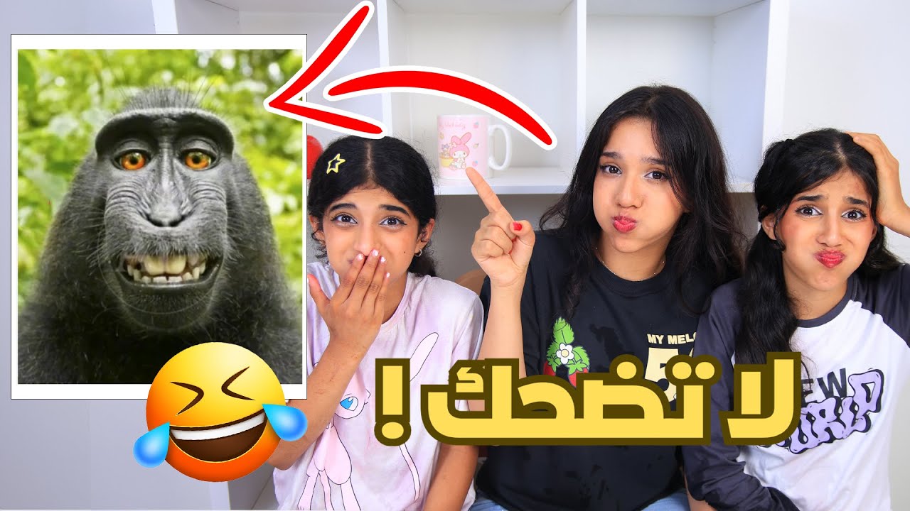 اتحداك ما تضحك بالفيديو هذا !! شفا