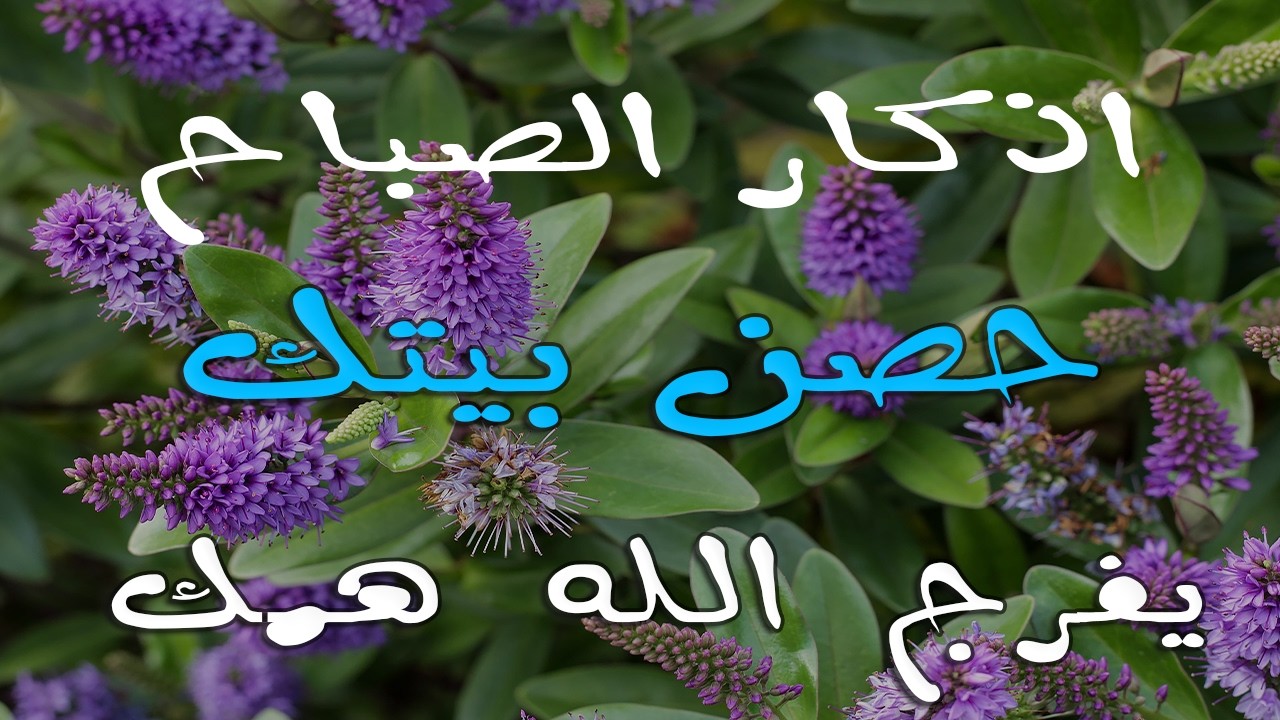 أذكار الصباح - راحة نفسية لا توصف بصوت القارئ علاء عقل | Morning Athkar - Dzkir Pagi by Alaa Aql