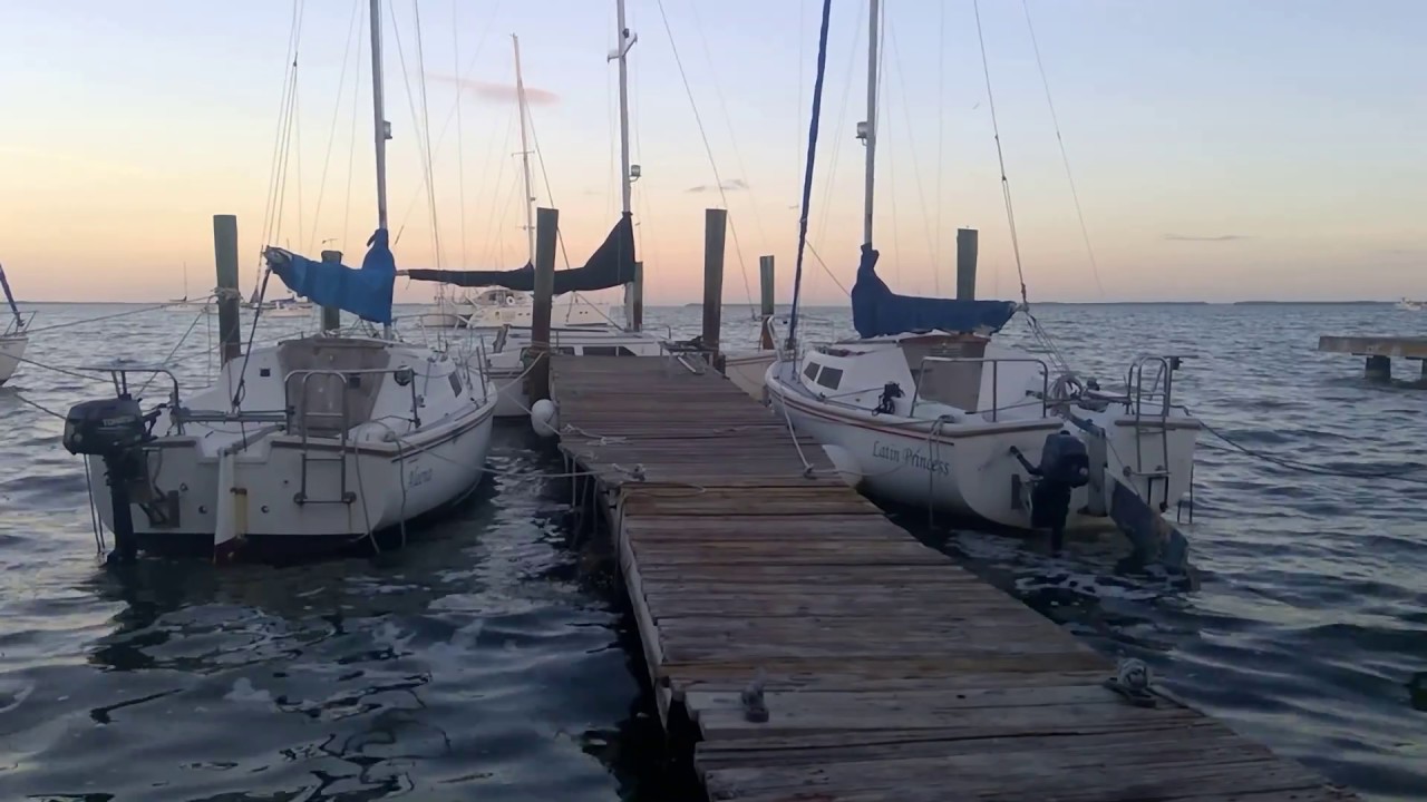 1 Hour of Relaxing Ocean Sounds - Masts Squeaking, Seagulls Chirping, Waves Rocking Docked Boats