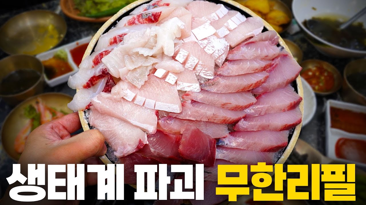 인당 2.5만원에 활어회 무한리필?? 4명이 모여야 하는 미친 갓성비 횟집에 다녀왔습니다!