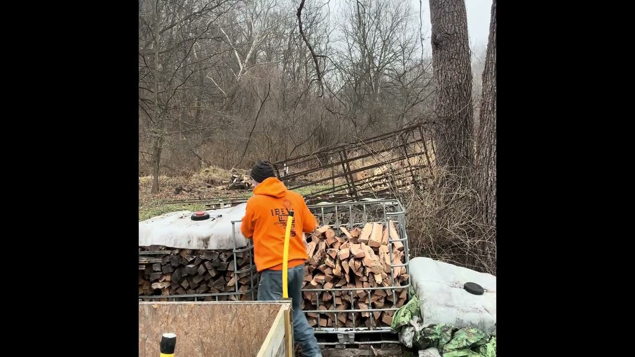 Splitting and stacking oak firewood