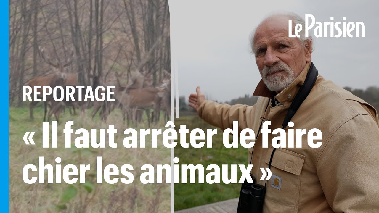 Des chiens de chasse à courre s'introduisent chez lui, Yann Arthus-Bertrand porte plainte