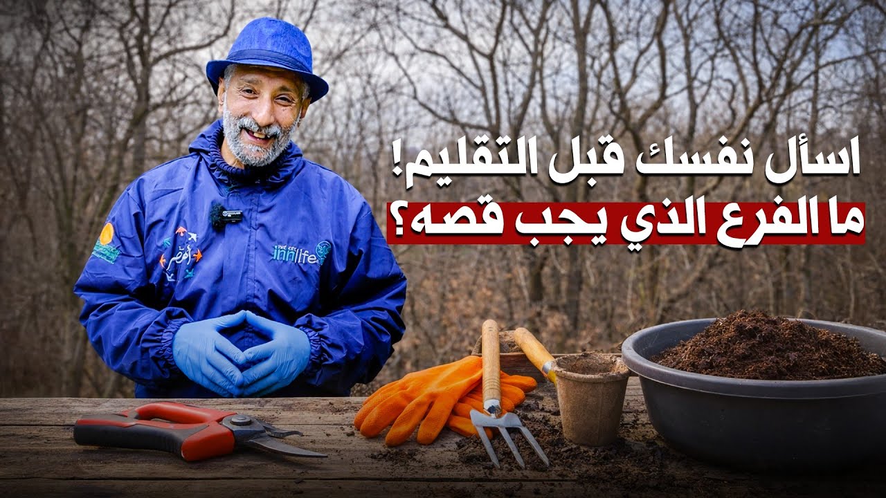 ما يجب أن تفعله مع أشجارك في منتصف الشتاء شهر ( فبراير )