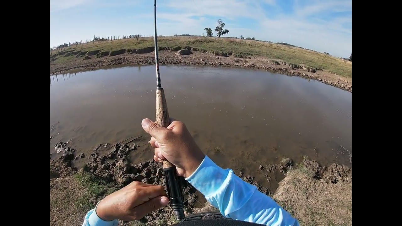 Fly fishing en la provincia de Bs As. Fly fishing todo el año.