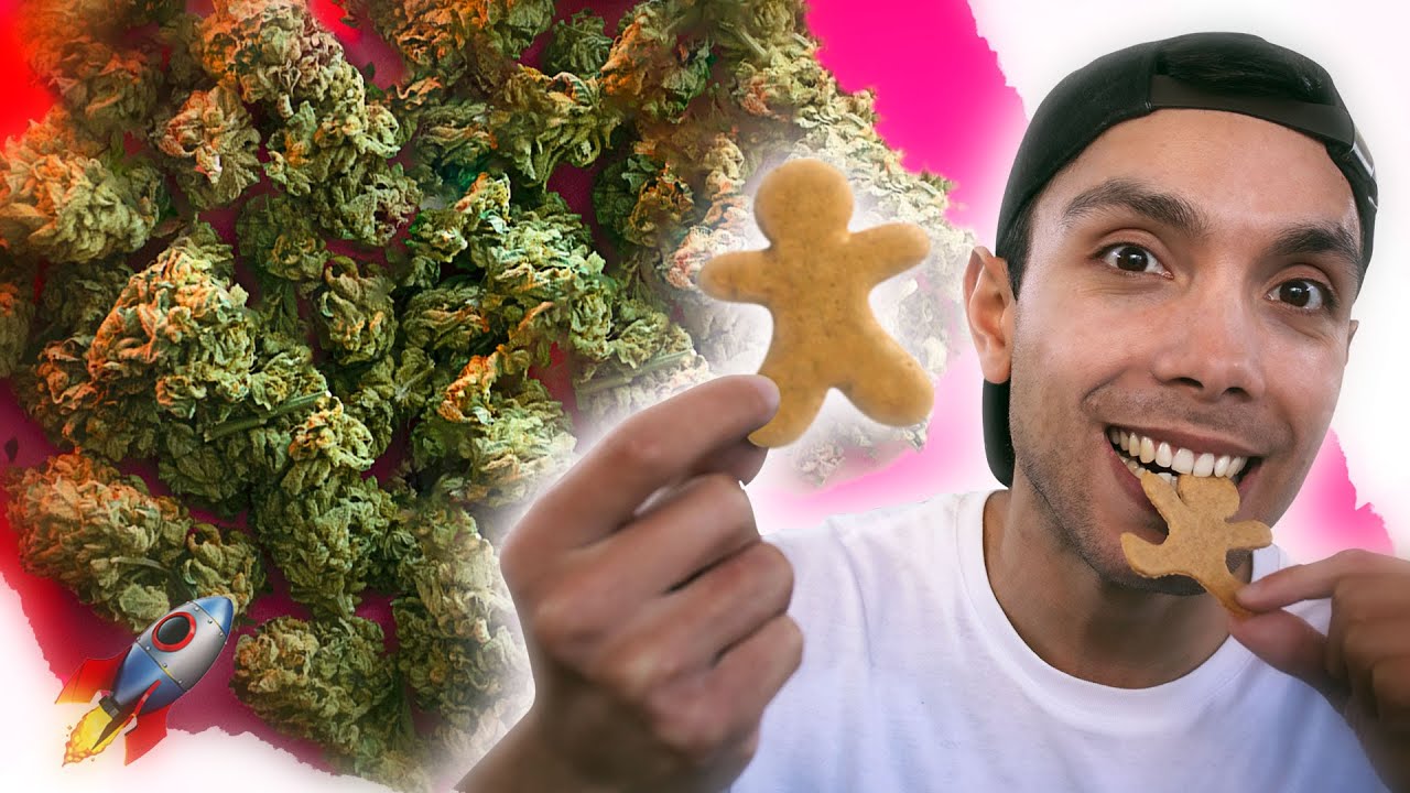 &iquest;C&oacute;mo hacer Galletas con Marihuana?