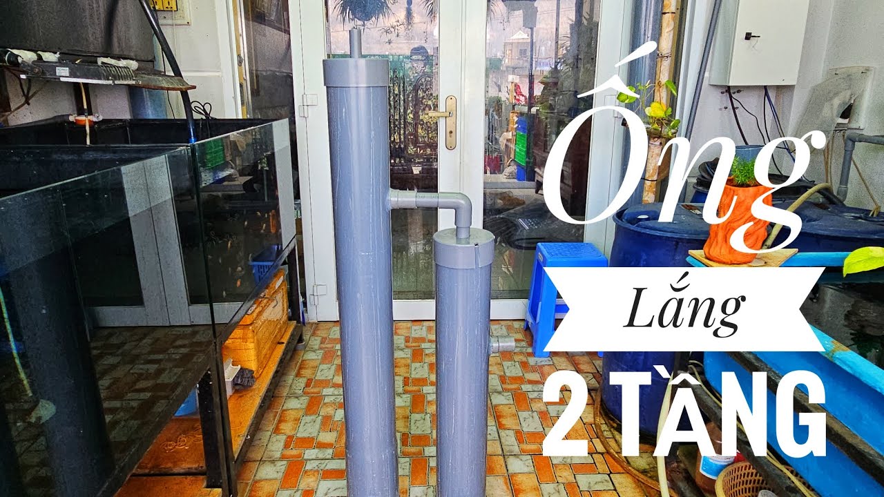 Fish 118: Ống lắng 2 tầng