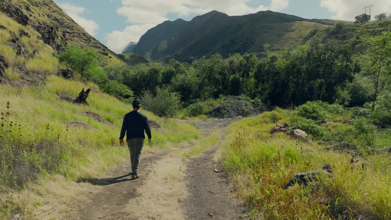 (de)tour by Cond&eacute; Nast Mission Studio: Hawaiʻi