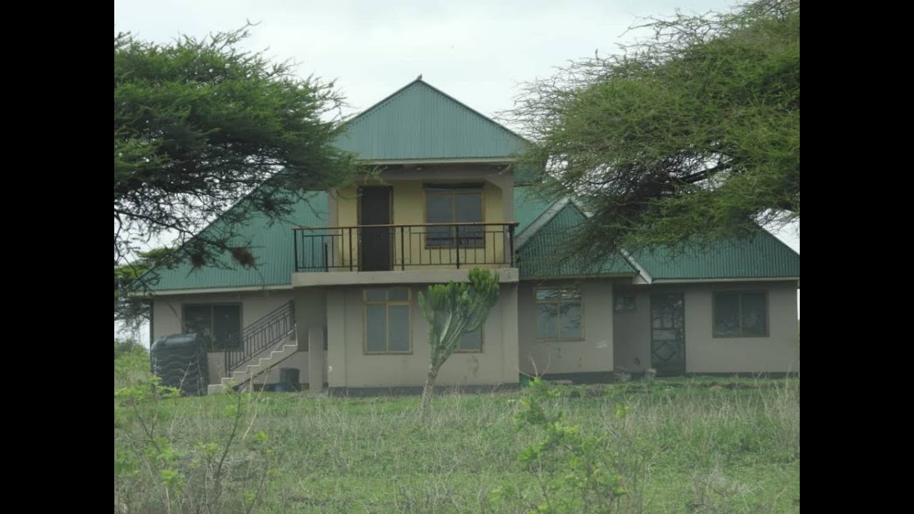 SAKATA LA NGORONGORO: WAMASAI WANAVYOLIWA NA SIMBA/ HAKUNA MAKABURI/ MAGHOROFA KILA KONA YA MBUGA