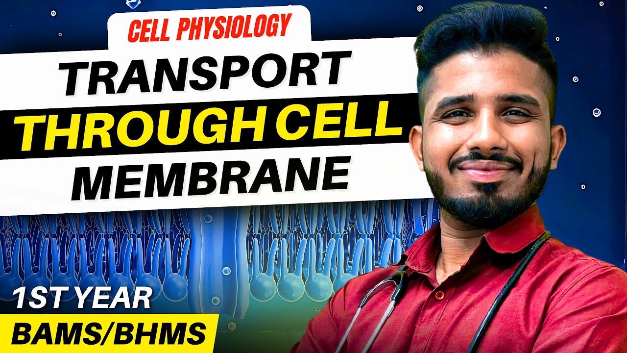 Transport through Cell membrane - Passive Transport | BAMS / BHMS 1st Year #humanphysiology #bams