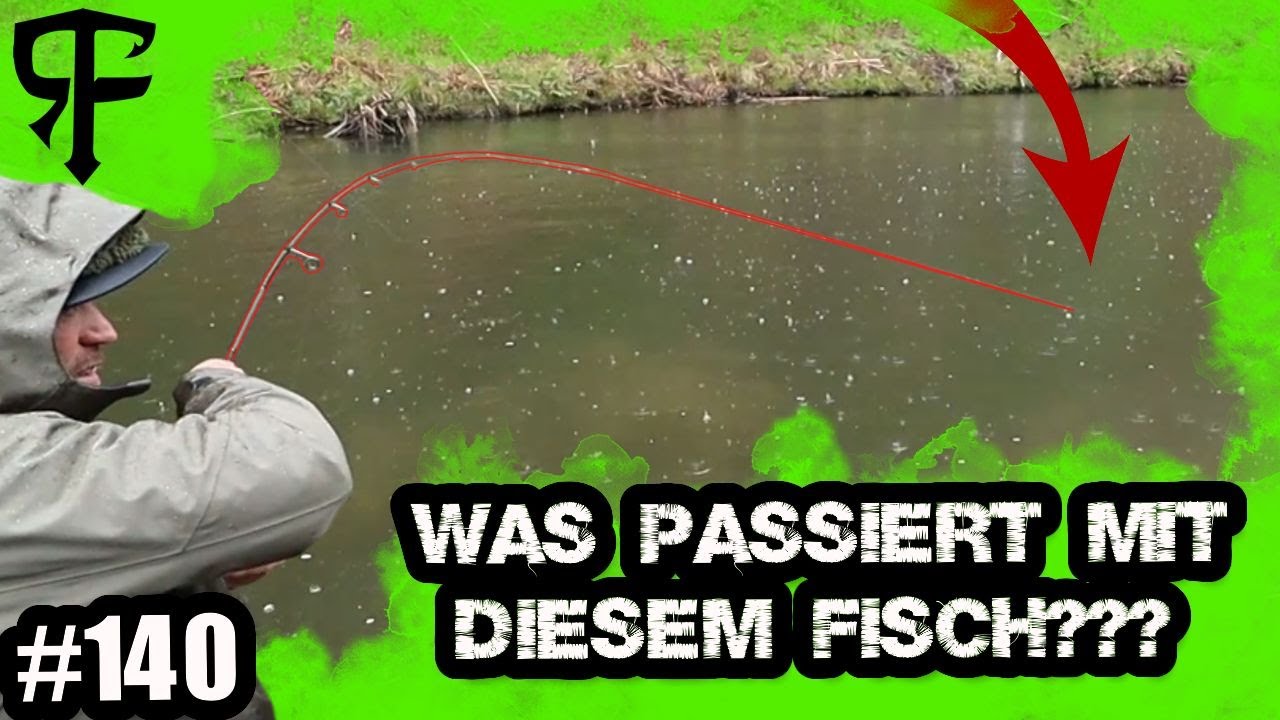 Er fängt einen GROßEN Fisch, dann passiert das!